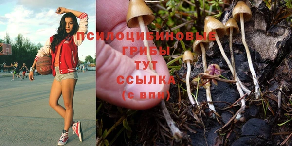 прущая мука Беломорск