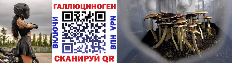 omg сайт  наркота  Емва  Галлюциногенные грибы мухоморы 